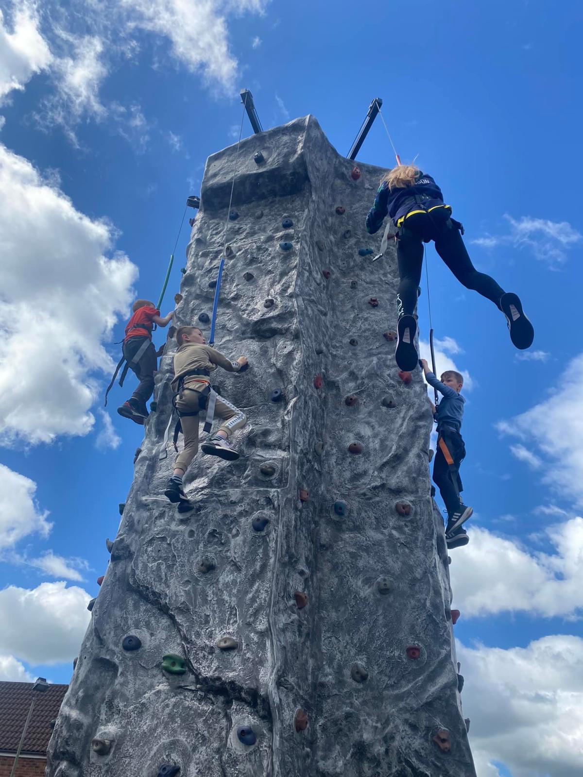 Case Study Climbing Wall
